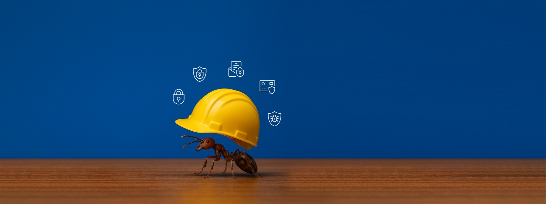 https://access.nextwork360.it/it
